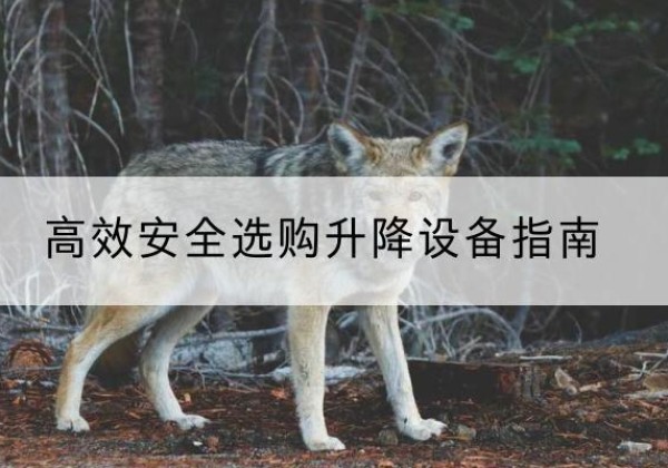 大兴区升降货梯厂家推荐-*安全选购升降设备指南