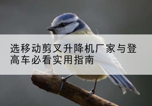 大兴区电动升降机厂家-选移动剪叉升降机厂家与登高车必看实用指南