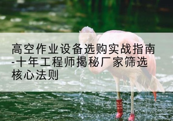 大兴区剪叉式升降机厂家-高空作业设备选购实战指南-十年工程师揭秘厂家筛选核心法则